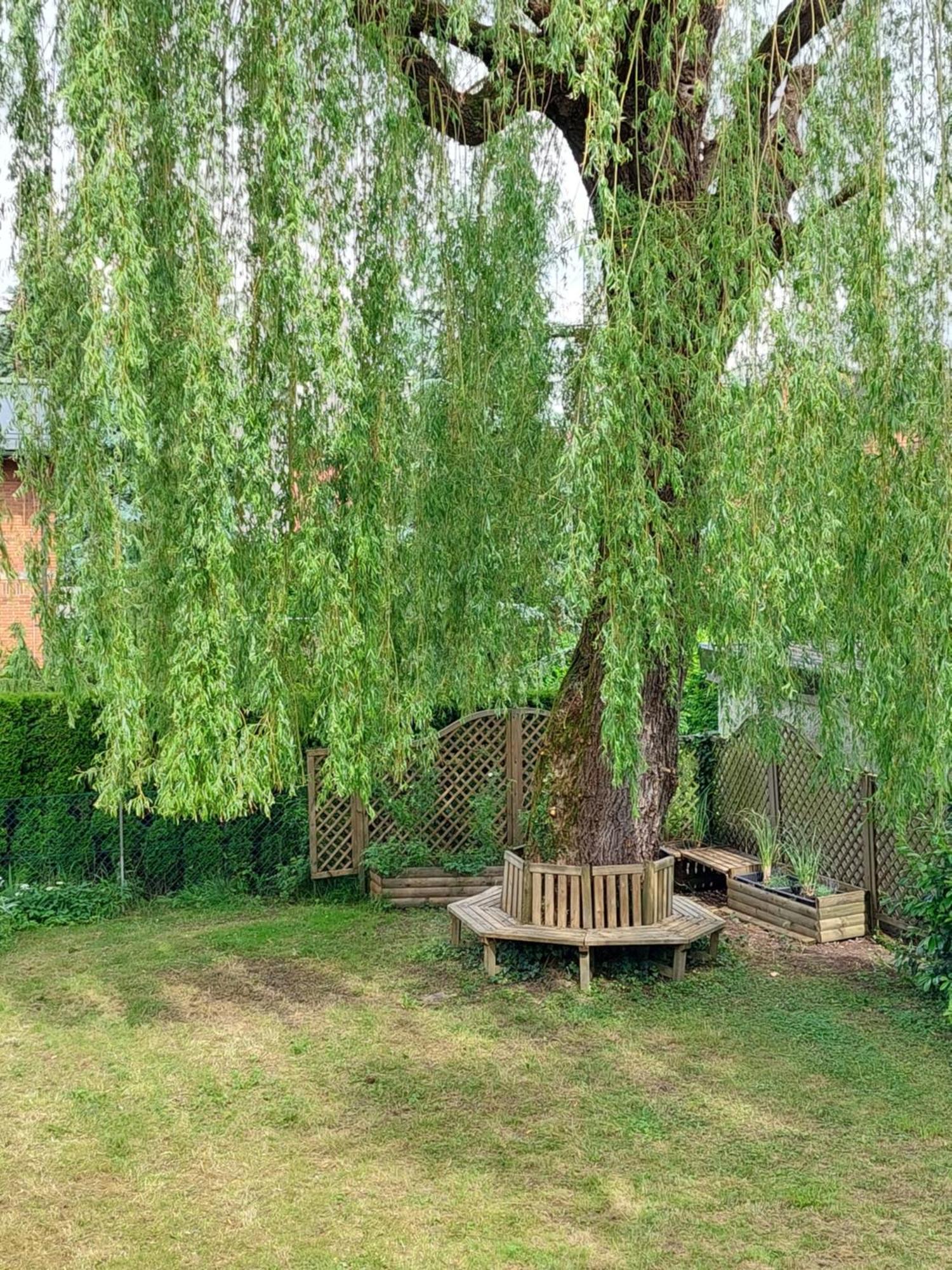 Rose House - Greenline Guest house