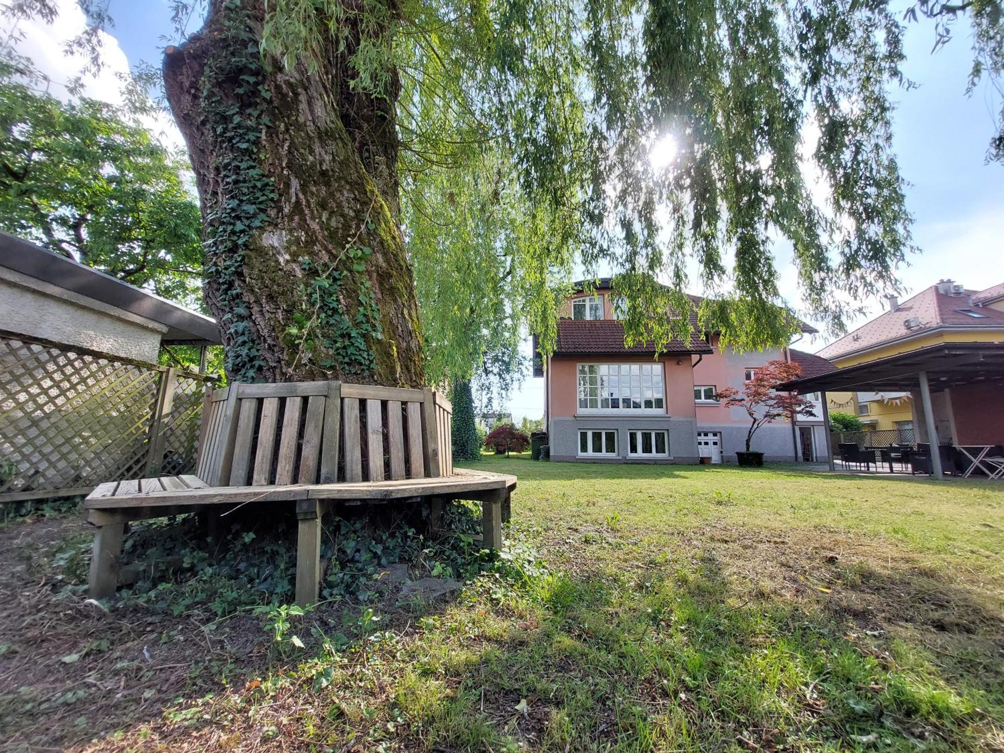 Rose House - Greenline Guest house